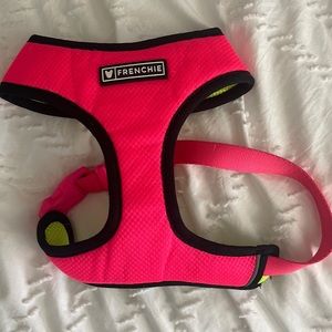 Frenchie bulldog harness